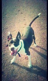 Rayment28 profile photo