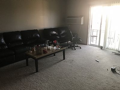 Penny lane profile photo