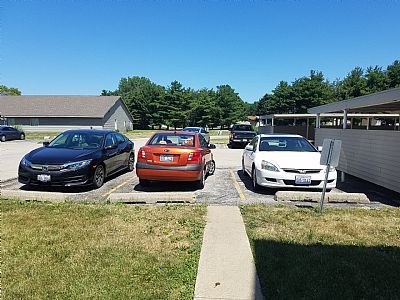 trinhtran profile photo