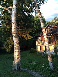 Cristimartz profile photo