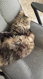 Centurion214 profile photo