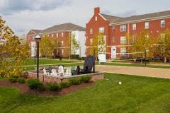 amm1071 profile photo