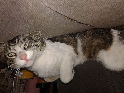 kary.richmond profile photo