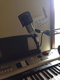 hippiehiphop profile photo