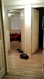 HarleyQ98 profile photo