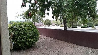 HarleyQ98 profile photo