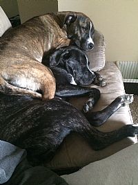 rdrafke profile photo