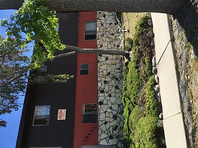 Buddy2017 profile photo