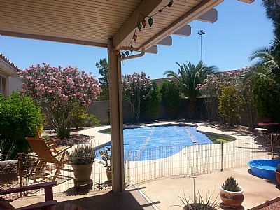 ibfriendly profile photo