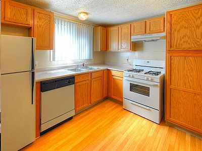 aryounger profile photo