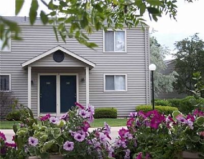 aryounger profile photo