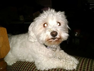 marsher1 profile photo