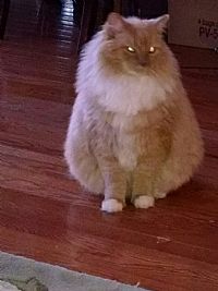 marsher1 profile photo