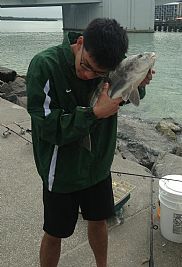 155664 profile photo