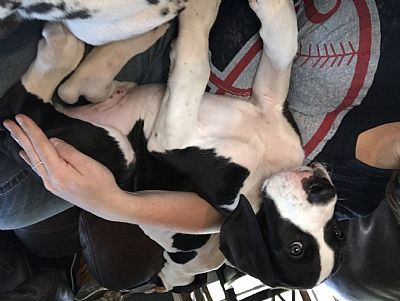 Alexis7351 profile photo