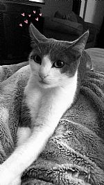 Sydney240 profile photo