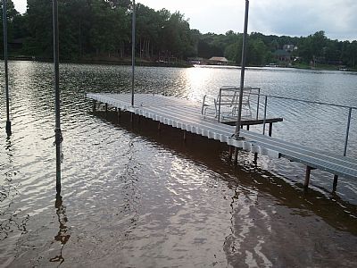 linnibin profile photo