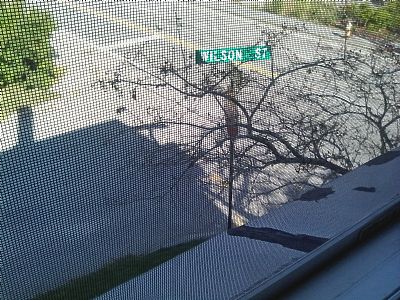 Xenna45 profile photo