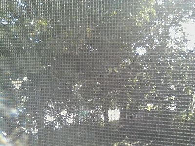 Xenna45 profile photo