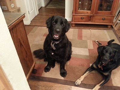 rebfein profile photo