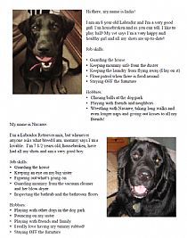 rebfein profile photo