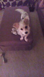 Smcerlain28 profile photo