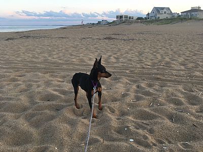 MinPins profile photo