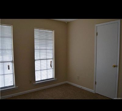 Brainey profile photo