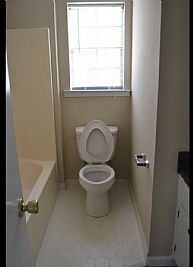 Brainey profile photo