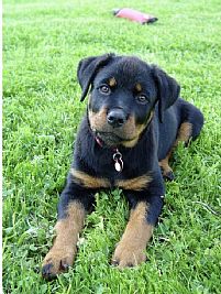 mattwiles23 profile photo