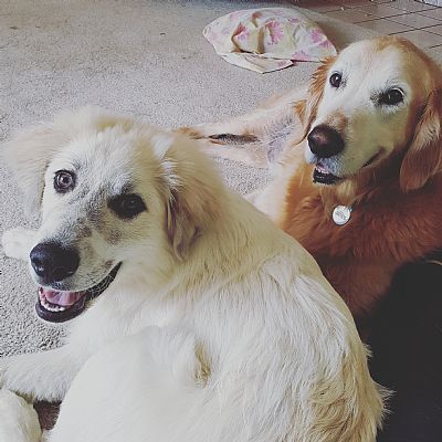 Aziabazia profile photo