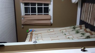 tdoss2000 profile photo