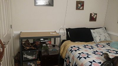 sarajoy95 profile photo