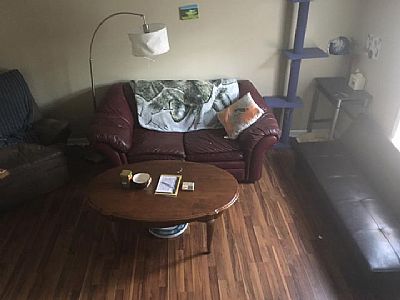 PantheraCorax profile photo