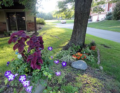 ThreeRivers profile photo