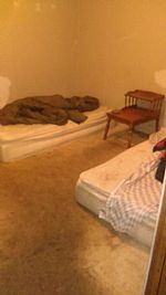 Pj&charlie profile photo