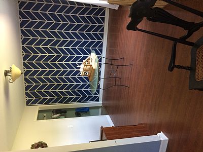 shanispeed profile photo