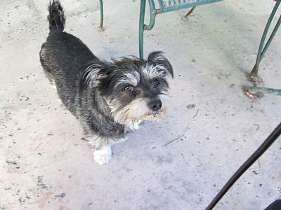 haiku5454 profile photo