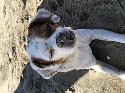 megk4785 profile photo