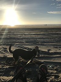 megk4785 profile photo