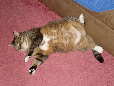 fredricjcohenmd profile photo