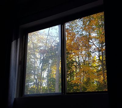 linkwell profile photo