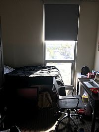 austinzcole profile photo