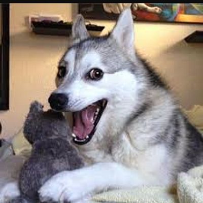 Matthewv1116 profile photo