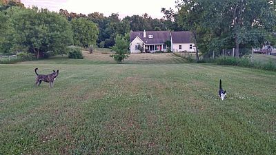 Clarkston house profile photo