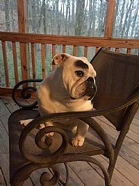 Chelle205 profile photo