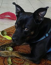 thegunther03 profile photo