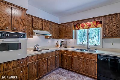 stevedthompson7 profile photo