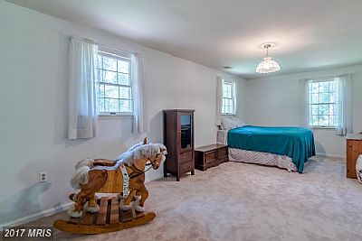 stevedthompson7 profile photo