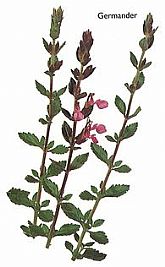 jeffneedsaroom profile photo